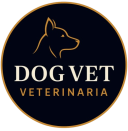 dog vet veterinaria